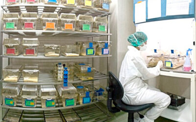 Oferta de trabajo: veterinari@s y técnic@s